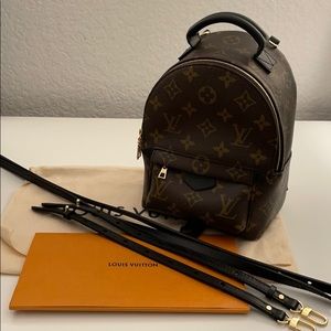 Louis Vuitton Palm Springs Mini